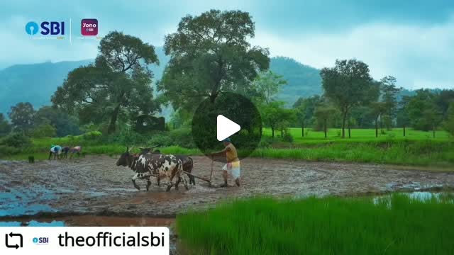 [theofficialsbi]